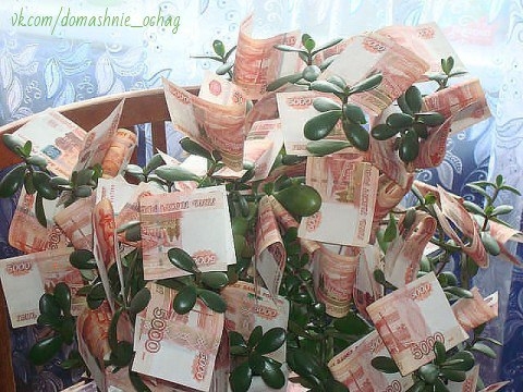 ДЕНЕЖНЫЙ ЗАГОВОР НА КОМНАТНЫЕ ЦВЕТЫ. ДЕНЕЖНЫЙ ЗАГОВОР НА КОМНАТНЫЕ ЦВЕТЫ.