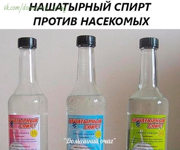 НАШАТЫРНЫЙ СПИРТ ПРОТИВ НАСЕКОМЫХ Сохраните, чтобы не потерять! НАШАТЫРНЫЙ СПИРТ ПРОТИВ НАСЕКОМЫХ Сохраните, чтобы не потерять!