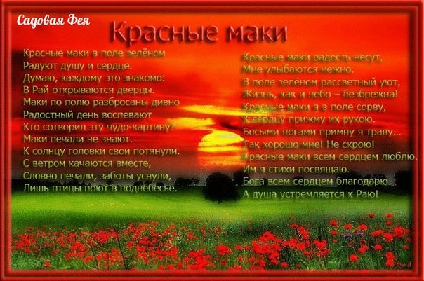 Посмотри, как мир вокруг прекрасен!