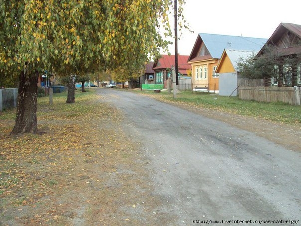 ОКРАСКА ДЕРЕВЯННЫХ СТЕН