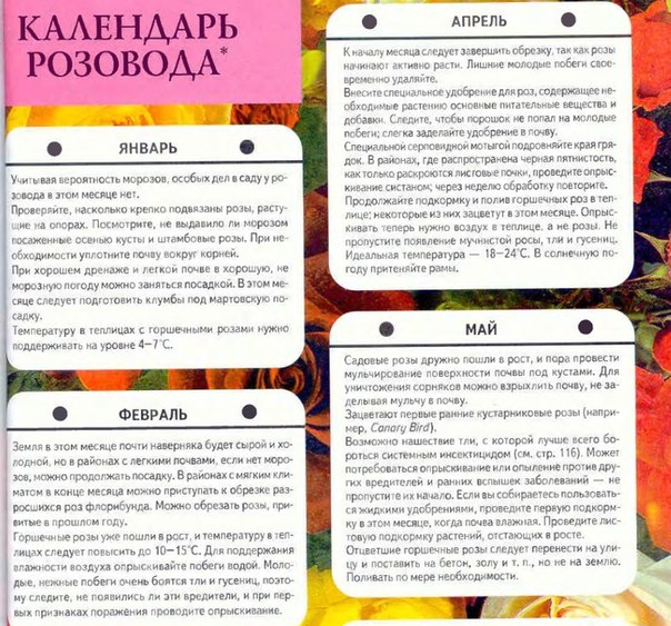 Календарь розовода