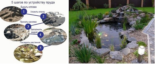 Декоративный пруд своими руками Декоративный пруд своими руками