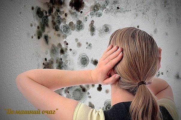 Как уничтожить грибок и плесень в ванной Как уничтожить грибок и плесень в ванной