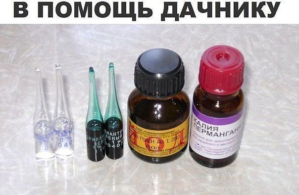 В ПОМОЩЬ ДАЧНИКУ!!! В ПОМОЩЬ ДАЧНИКУ!!!