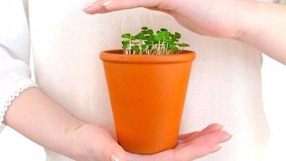 6 БАБУШКИНЫХ СОВЕТОВ ПО УХОДУ ЗА ЦВЕТАМИ