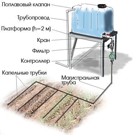 Как сделать простейший капельный полив из бочки?