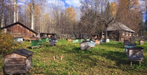 Как построить омшаник для пчел Как построить омшаник для пчел