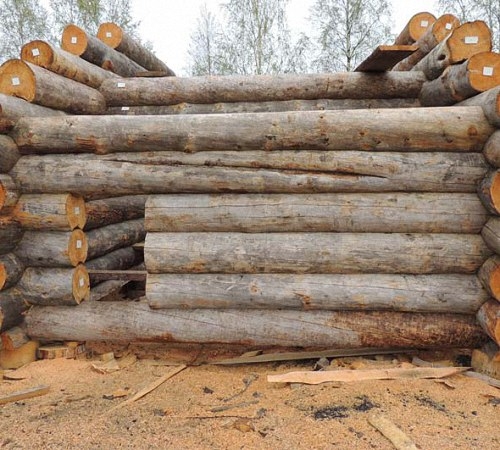 Фундамент из бревен: характеристика и особенности возведения Фундамент из бревен: характеристика и особенности возведения