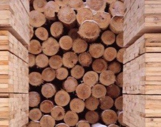 Выбор древесины для строительства деревянного дома