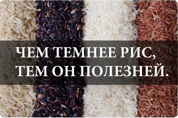 ЧЕМ ТЕМНЕЕ РИС, ТЕМ ОН ПОЛЕЗНЕЙ. ЧЕМ ТЕМНЕЕ РИС, ТЕМ ОН ПОЛЕЗНЕЙ.