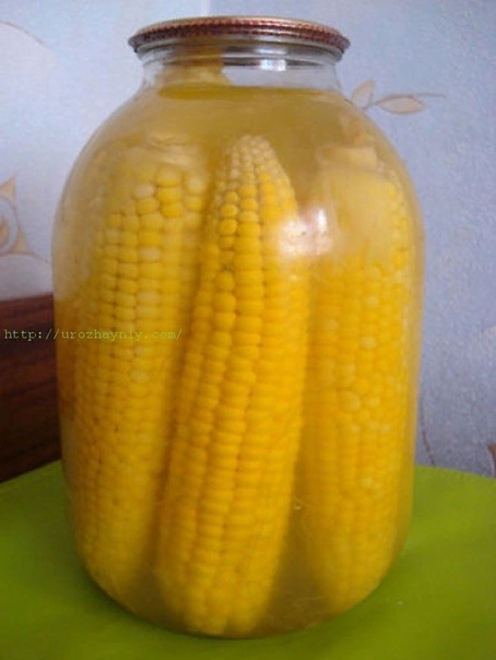 Кукуруза на зиму . Кукуруза на зиму .