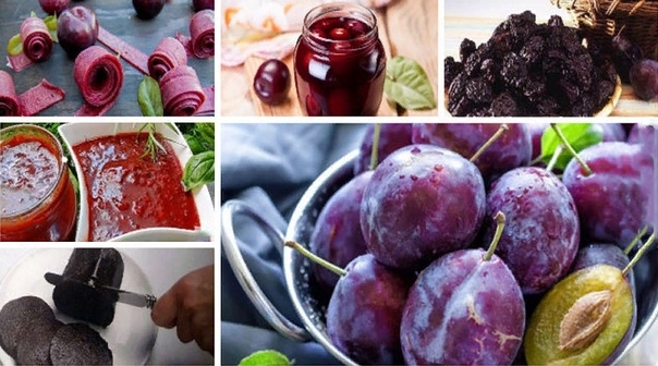 Самые вкусные заготовки из слив на зиму. 15 прекрасных рецептов! Самые вкусные заготовки из слив на зиму. 15 прекрасных рецептов!