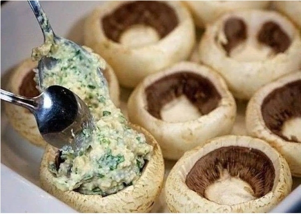 Шампиньоны, фаршированные курицей и сыром Шампиньоны, фаршированные курицей и сыром