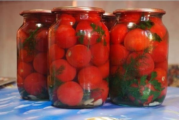 Маринованные помидоры "Людмила". Маринованные помидоры "Людмила".
