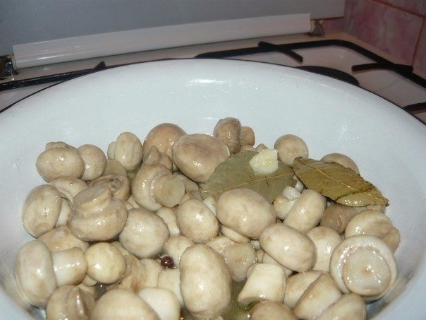 МАРИНУЕМ ГРИБОЧКИ МАРИНУЕМ ГРИБОЧКИ