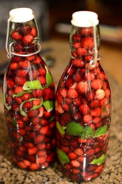 Водка с лаймом и клюквой
