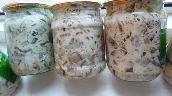 БАКЛАЖАНЫ В МАЙОНЕЗЕ СО ВКУСОМ ГРИБОВ БАКЛАЖАНЫ В МАЙОНЕЗЕ СО ВКУСОМ ГРИБОВ