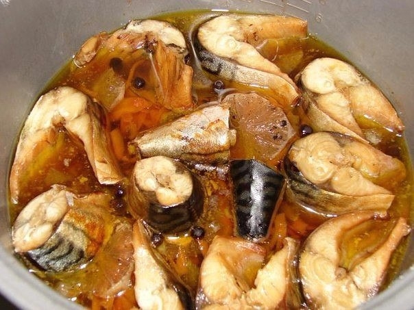 Тушеная скумбрия Тушеная скумбрия