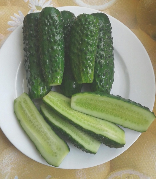 САМЫЕ ВКУСНЫЕ ХРУСТЯЩИЕ ОГУРЧИКИ САМЫЕ ВКУСНЫЕ ХРУСТЯЩИЕ ОГУРЧИКИ
