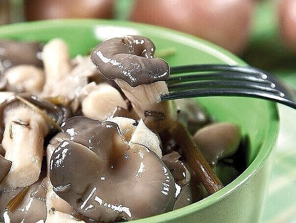 МАРИНОВАННЫЕ ВЕШЕНКИ (ОЧЕНЬ БЫСТРО) И ВКУСНО МАРИНОВАННЫЕ ВЕШЕНКИ (ОЧЕНЬ БЫСТРО) И ВКУСНО