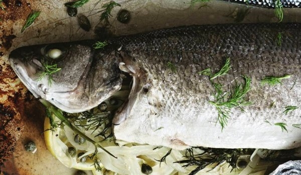Сибас рыба от Гордона Рамзи
