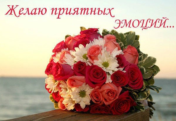Зинулик а мы решили "рИбный стол" на этот Новый Год сотворить! Мои очень кальмара просЮт в салате, " Зинулик а мы решили "рИбный стол" на этот Новый Год сотворить! Мои очень кальмара просЮт в салате, "