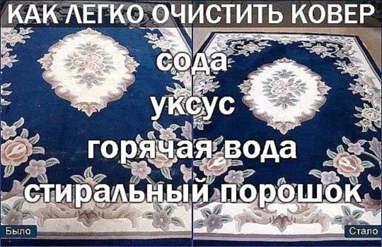 Как легко очистить ковер Берем на заметку, хозяюшки! Как легко очистить ковер Берем на заметку, хозяюшки!