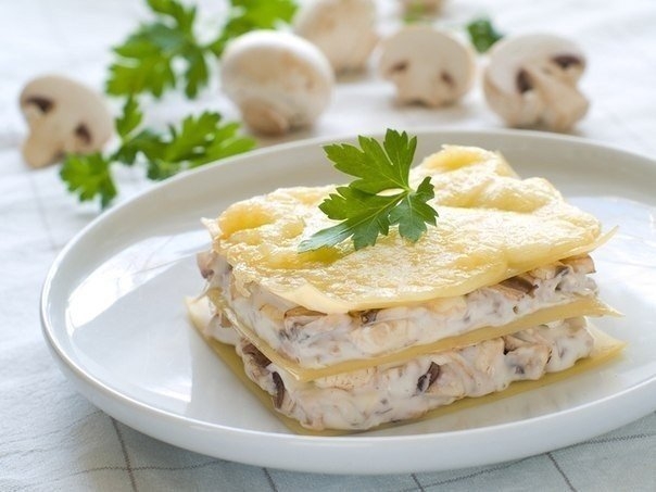 Аппетитная лазанья с курицей и грибами Аппетитная лазанья с курицей и грибами