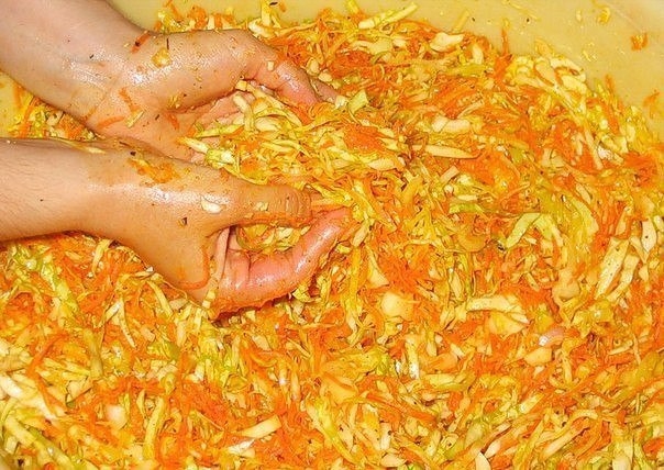 Корейский салат на зиму Корейский салат на зиму