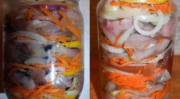 Селёдка по-голландски - вкусно нереально Селёдка по-голландски - вкусно нереально