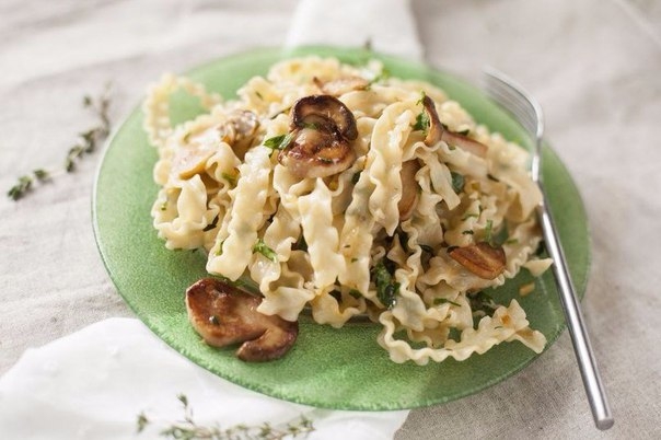 Паста с белыми грибами