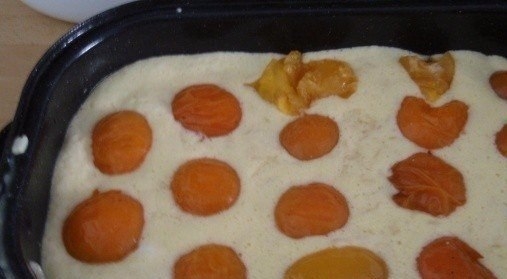 Рисовый пудинг с персиком