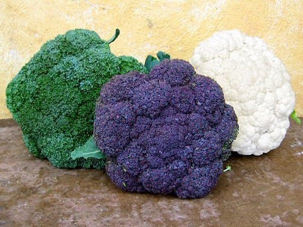 Кушать нужно не только вкусно, но еще и полезно! Так что гамбургеры прочь - покупаем фрукты и овощи!