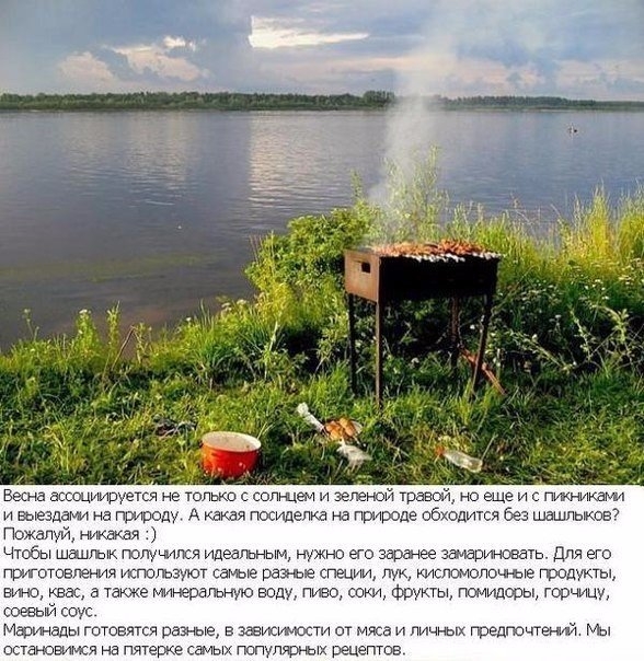 9 заповедей шашлычника и 5 популярных маринадов для шашлыков! Забирай на стену, чтобы не забыть!